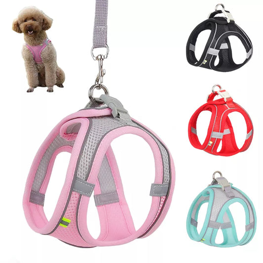 Adjustable Dog Harness Leash Set for Small Breeds